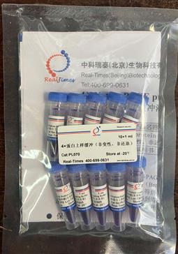 4×蛋白上樣緩沖（非變性，非還原）