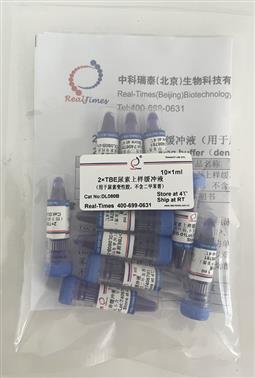 2×TBE尿素上樣緩沖液（用于尿素變性膠，不含二甲苯菁）
