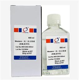 Western一抗二抗去除液（弱堿，溫和型）